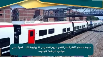 هبوط أسعار تذاكر قطار تالجو اليوم الخميس 31 يوليو 2025.. تعرف على مواعيد الرحلات الجديدة